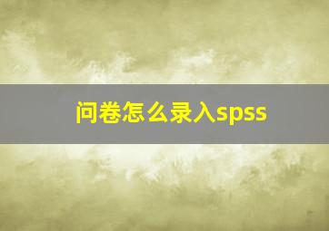 问卷怎么录入spss