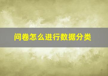 问卷怎么进行数据分类