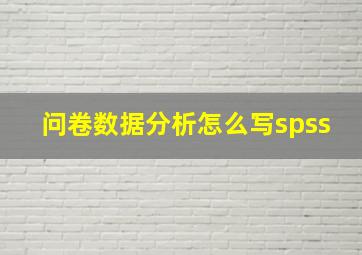 问卷数据分析怎么写spss