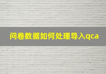 问卷数据如何处理导入qca