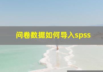 问卷数据如何导入spss