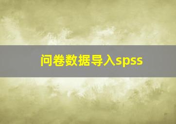 问卷数据导入spss