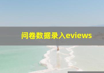 问卷数据录入eviews