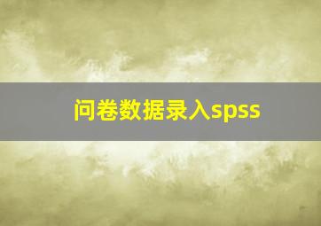 问卷数据录入spss