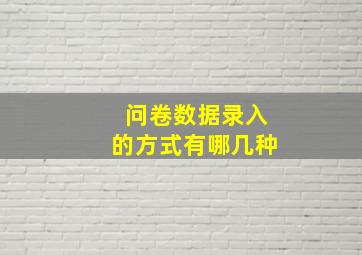 问卷数据录入的方式有哪几种