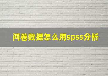 问卷数据怎么用spss分析