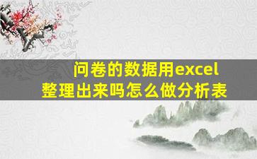 问卷的数据用excel整理出来吗怎么做分析表