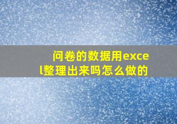 问卷的数据用excel整理出来吗怎么做的