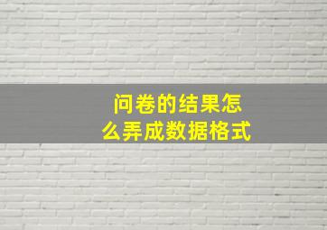 问卷的结果怎么弄成数据格式