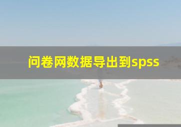 问卷网数据导出到spss