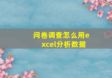 问卷调查怎么用excel分析数据