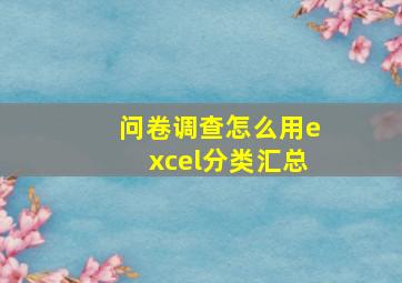 问卷调查怎么用excel分类汇总