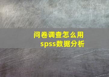 问卷调查怎么用spss数据分析