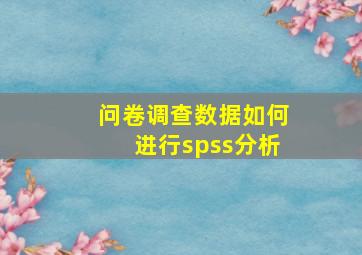 问卷调查数据如何进行spss分析