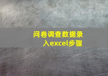 问卷调查数据录入excel步骤