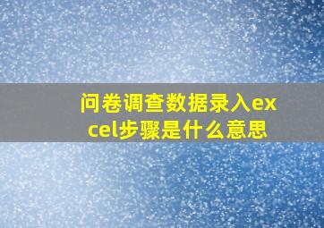 问卷调查数据录入excel步骤是什么意思