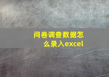 问卷调查数据怎么录入excel