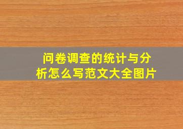 问卷调查的统计与分析怎么写范文大全图片