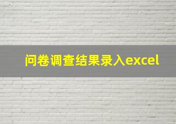 问卷调查结果录入excel