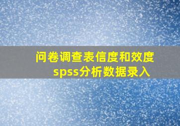 问卷调查表信度和效度spss分析数据录入