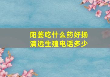 阳萎吃什么药好扬清远生殖电话多少