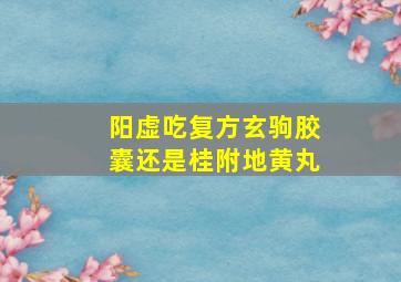 阳虚吃复方玄驹胶囊还是桂附地黄丸