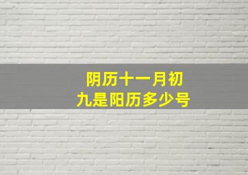 阴历十一月初九是阳历多少号