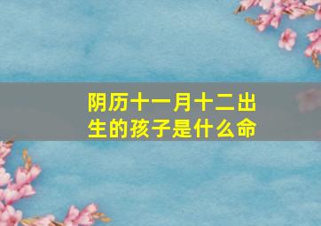 阴历十一月十二出生的孩子是什么命