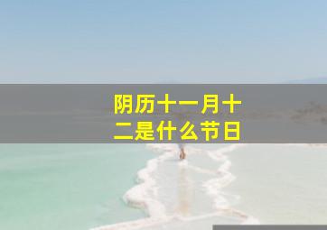 阴历十一月十二是什么节日