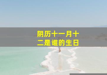 阴历十一月十二是谁的生日