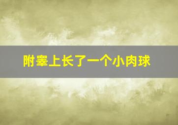 附睾上长了一个小肉球