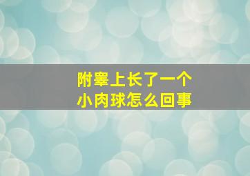 附睾上长了一个小肉球怎么回事