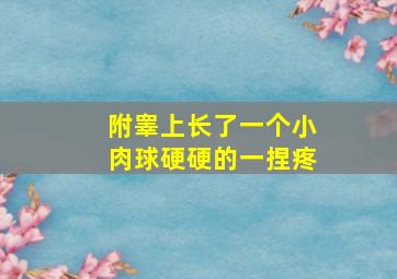 附睾上长了一个小肉球硬硬的一捏疼