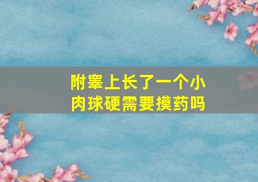 附睾上长了一个小肉球硬需要摸药吗