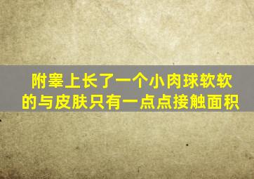 附睾上长了一个小肉球软软的与皮肤只有一点点接触面积