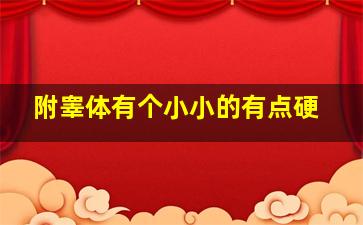 附睾体有个小小的有点硬