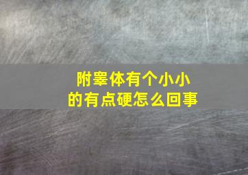 附睾体有个小小的有点硬怎么回事