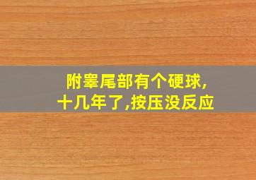 附睾尾部有个硬球,十几年了,按压没反应