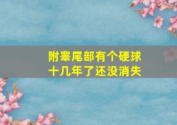 附睾尾部有个硬球十几年了还没消失