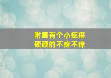 附睾有个小疙瘩硬硬的不疼不痒