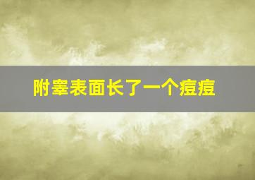 附睾表面长了一个痘痘