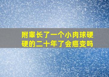 附睾长了一个小肉球硬硬的二十年了会癌变吗