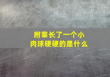 附睾长了一个小肉球硬硬的是什么