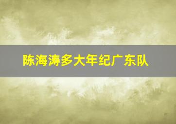 陈海涛多大年纪广东队