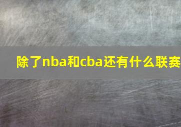 除了nba和cba还有什么联赛