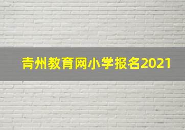 青州教育网小学报名2021