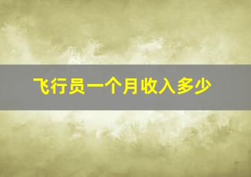 飞行员一个月收入多少