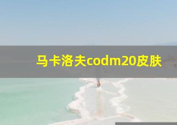 马卡洛夫codm20皮肤