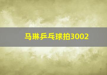 马琳乒乓球拍3002