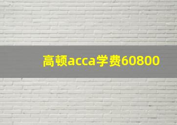 高顿acca学费60800